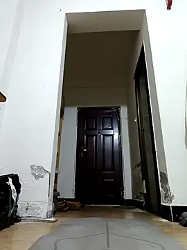 DDYY12341 online show from 12/20/25, 12:41