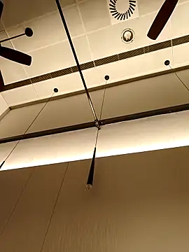 DDYY12341 online show from 11/04/25, 02:32