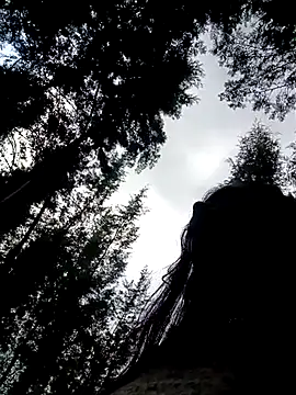 cindy damm online show from 04/15/26, 06:56