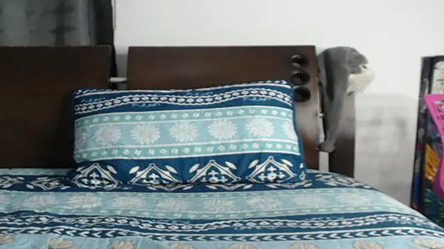 Tobicutee online show from 02/05/26, 04:19