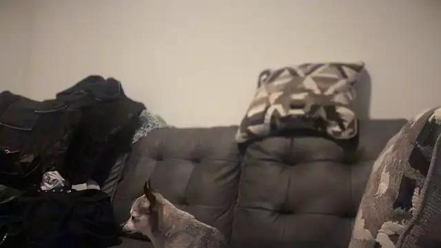 RavenRayyy online show from 10/22/25, 04:34