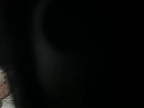 JOJO xxx 123 online show from 04/07/26, 02:24