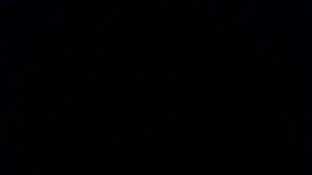 Kashtanka  online show from 11/22/25, 12:59