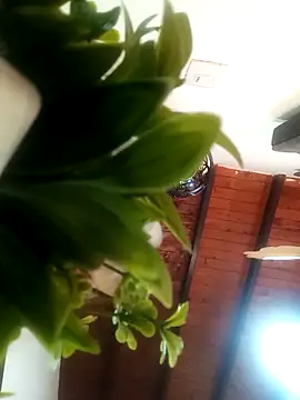 Mia ross16 online show from 03/07/25, 07:16