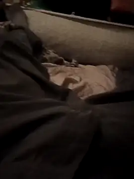 armdy371 online show from 11/15/25, 10:14