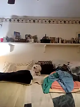 Snapshot of Hand69someguy chatting on 10/04/25, 10:33 Hand69someguy online show from 10/04/25, 10:33