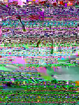 indosmoke online show from 10/28/25, 03:22