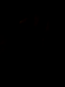 LAN69XXXX online show from 03/25/26, 07:35