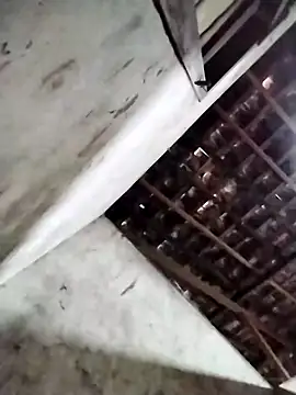 Leonelzain online show from 03/06/26, 04:40