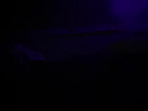 BigMac1596 online show from 10/25/25, 04:44