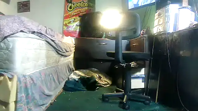 HBYAM online show from 02/23/26, 11:44