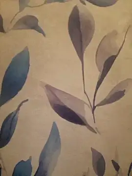 Josephine LIVE online show from 03/27/26, 11:16