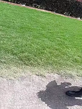 sophie banger online show from 11/04/25, 04:11