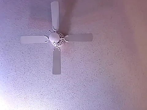 big8dall online show from 12/20/25, 06:27