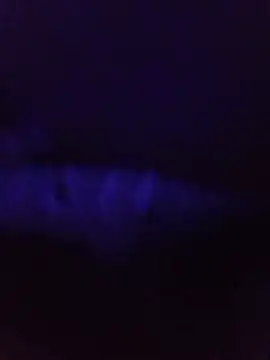 kariilalit online show from 05/29/26, 10:38
