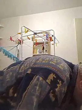 Bretoncool online show from 11/15/25, 01:26