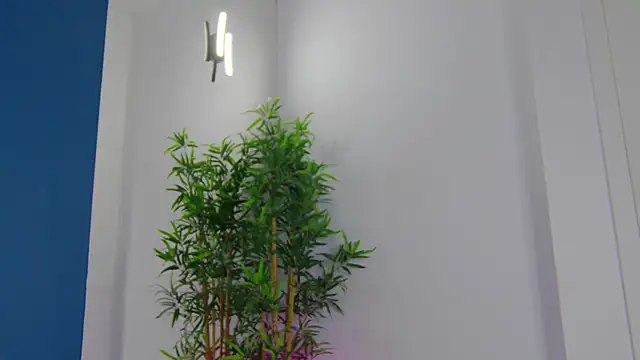 CelineMeyerr online show from 05/06/26, 05:11