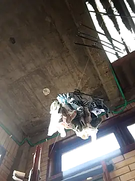 Snapshot of gigolopez1 chatting on 02/15/26, 12:15 gigolopez1 online show from 02/15/26, 12:15