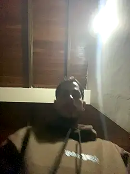 Dalton oficial online show from 01/06/26, 12:36