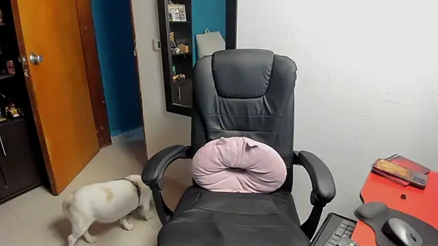 peanut tangerine online show from 01/09/26, 11:55