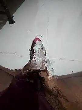 SageElement2 online show from 01/12/26, 07:42