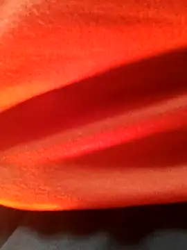 Snapshot of Wild-Honey chatting on 01/16/25, 03:24 Wild-Honey online show from 01/16/25, 03:24