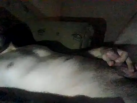 Snapshot of Vicktore007 chatting on 09/13/25, 09:37 Vicktore007 online show from 09/13/25, 09:37