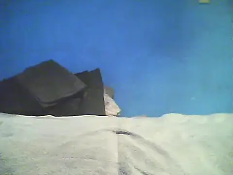 Vago745 online show from 12/02/24, 10:46