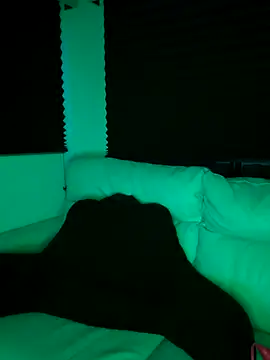 butterflybootyy online show from 09/18/25, 06:05