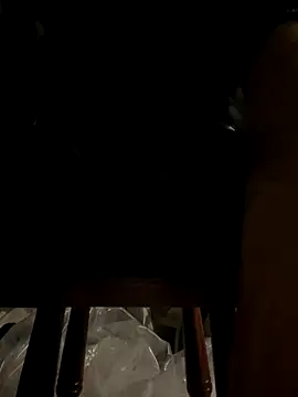 portugadopau online show from 11/23/25, 07:46