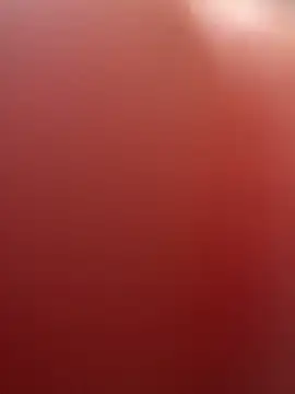 portugadopau online show from 09/10/25, 04:06