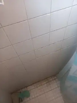 Snapshot of Giovannisexxx69 chatting on 04/12/26, 02:42 Giovannisexxx69 online show from 04/12/26, 02:42