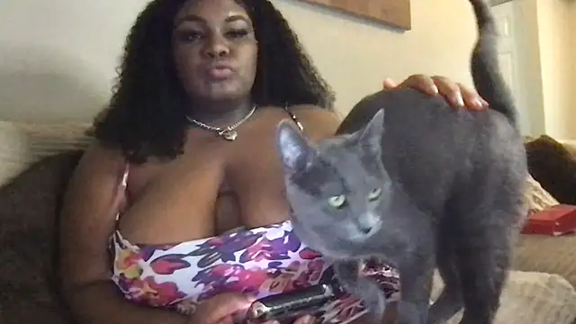 Nicoldsummer online show from 06/25/26, 09:20