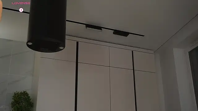 hecola online show from 11/11/25, 02:23