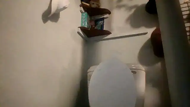 Snapshot of lilbishmiss chatting on 05/15/26, 11:47 lilbishmiss online show from 05/15/26, 11:47