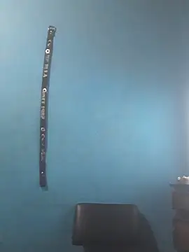 hugosafado333 online show from 12/15/25, 03:23