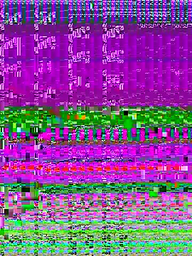 4n4l1zz4m1 online show from 11/11/25, 01:50