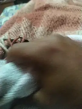 Jhjhipo online show from 11/21/25, 11:04