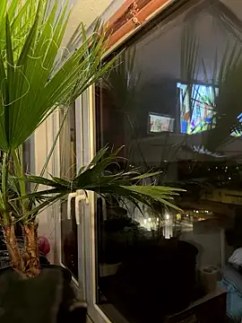 pillepallex84x online show from 01/09/26, 04:47