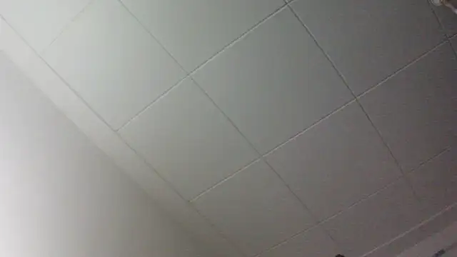 Snapshot of gorkamacbew chatting on 09/09/25, 01:59 gorkamacbew online show from 09/09/25, 01:59