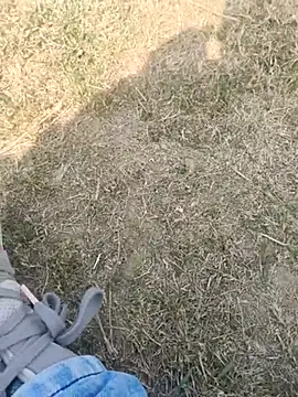 Snapshot of Gururonny07 chatting on 02/19/25, 07:28 Gururonny07 online show from 02/19/25, 07:28