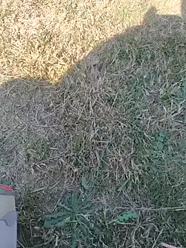 Snapshot of Gururonny07 chatting on 02/12/25, 07:44 Gururonny07 online show from 02/12/25, 07:44