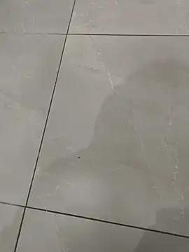 Snapshot of Gururonny07 chatting on 11/27/25, 12:44 Gururonny07 online show from 11/27/25, 12:44