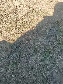 Snapshot of Gururonny07 chatting on 02/13/25, 07:24 Gururonny07 online show from 02/13/25, 07:24