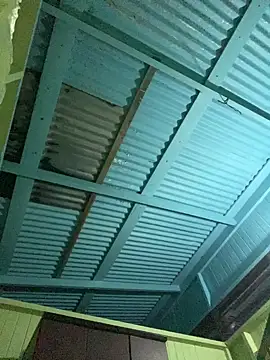 islandvybee55 online show from 01/11/26, 09:16