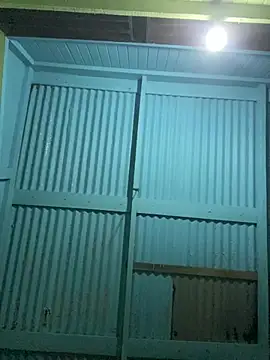 islandvybee55 online show from 02/05/26, 03:57