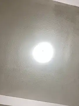 islandvybee55 online show from 01/22/25, 01:10