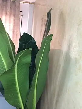 EmmaRossem online show from 03/31/26, 07:38