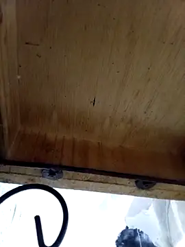 DaniSexFlow online show from 10/13/25, 04:36