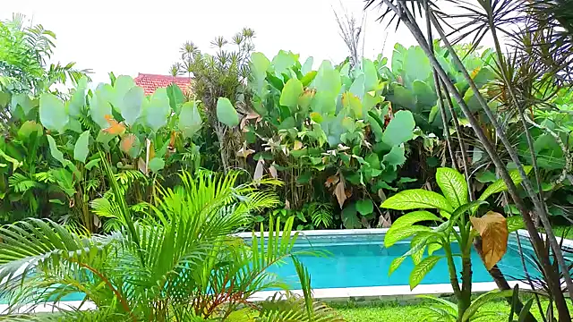  Katie Dierse online show from 02/09/26, 05:38